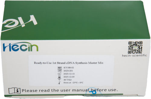 Ready-to-Use 1st Strand cDNA Synthesis Master Mix